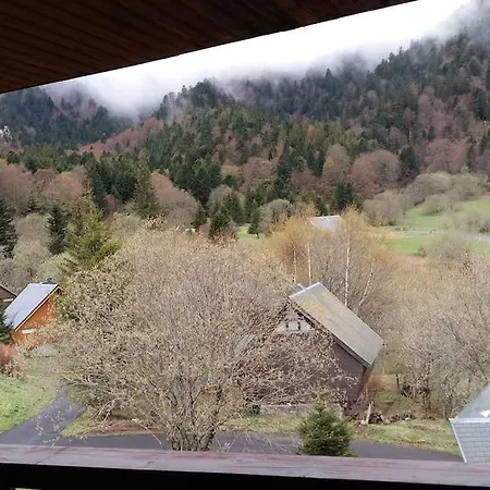 Avec Balcon Au Dore * Le Mont-Dore