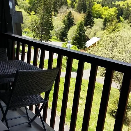 Avec Balcon Au Dore Apartment *