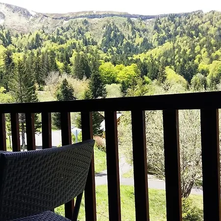 Avec Balcon Au Dore Apartment