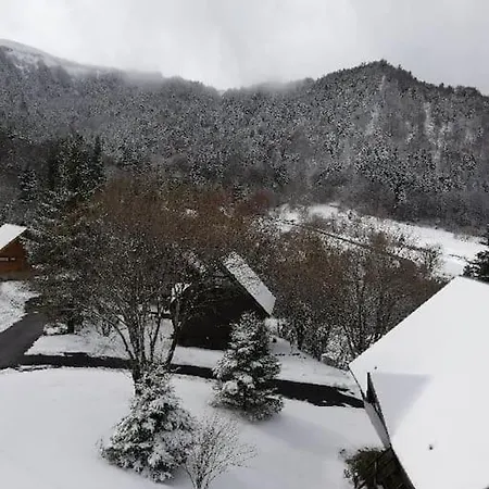 Avec Balcon Au Dore Le Mont-Dore